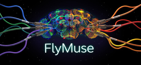 FlyMuse