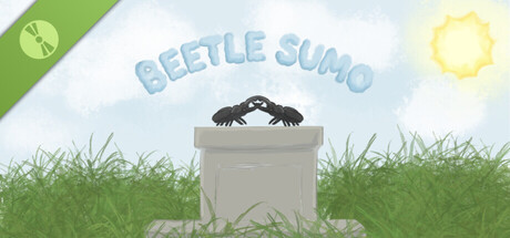 Beetle Sumo Demo