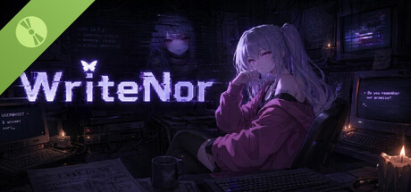 WriteNor Demo