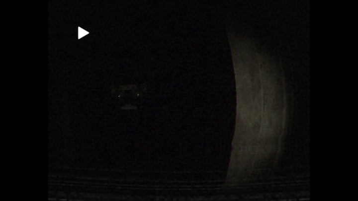 Deeply Dark: Files 游戏截图 3