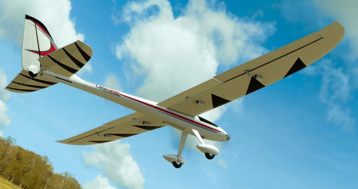 RealFlight Evolution - E-flite Conscendo 2.0m 游戏截图 4