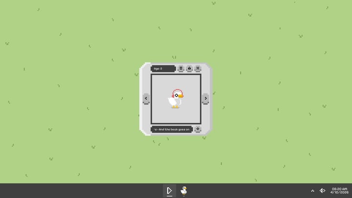 Quacky 游戏截图 2