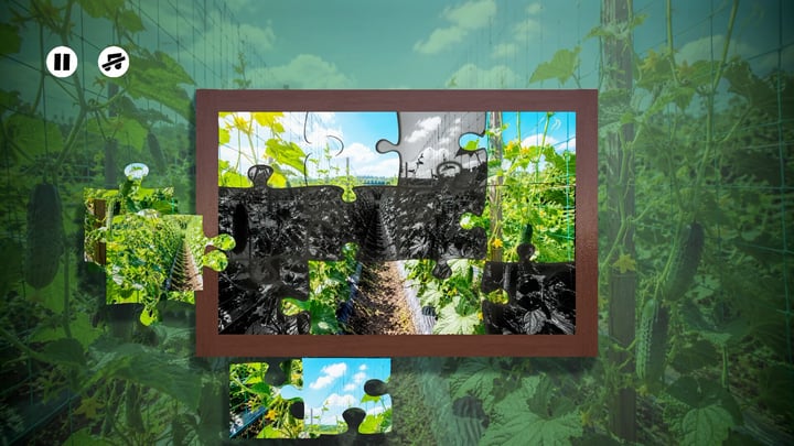 Puzzles: Vegetables 游戏截图 1