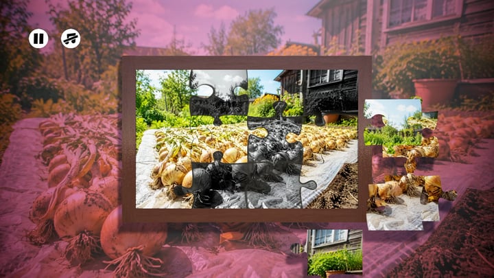Puzzles: Vegetables 游戏截图 2
