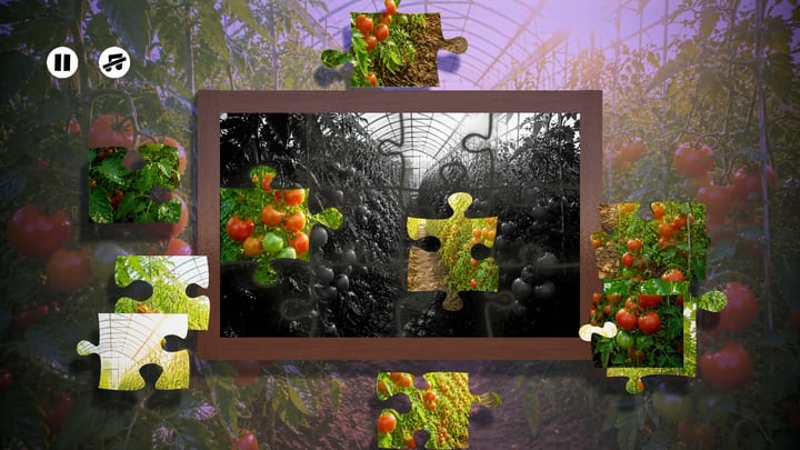 Puzzles: Vegetables 游戏截图 4