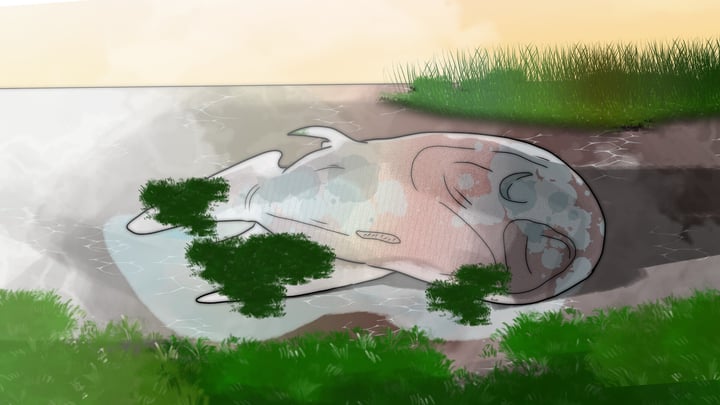 Melancholy Lake - Camocipher12 Shorts 游戏截图 2