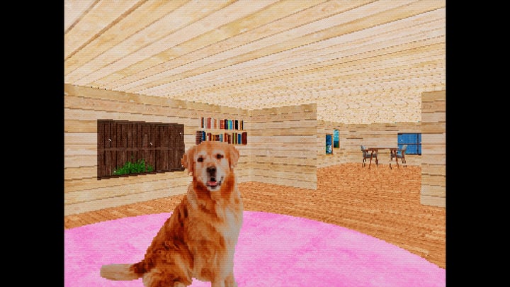 TAKE CARE OF THE DOG 游戏截图 2