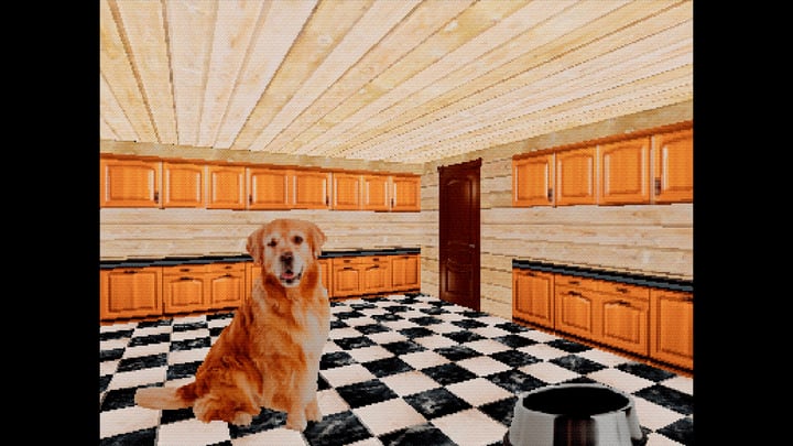 TAKE CARE OF THE DOG 游戏截图 4