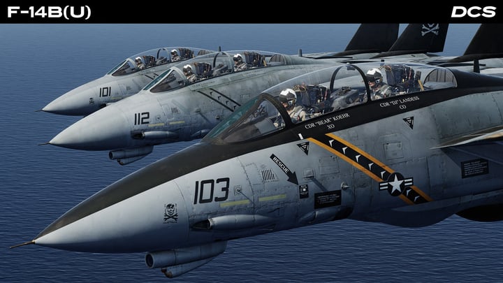 DCS: F-14B(U) by Heatblur Simulations 游戏截图 2