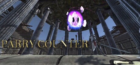PARRY COUNTER
